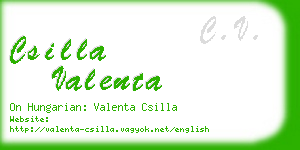 csilla valenta business card